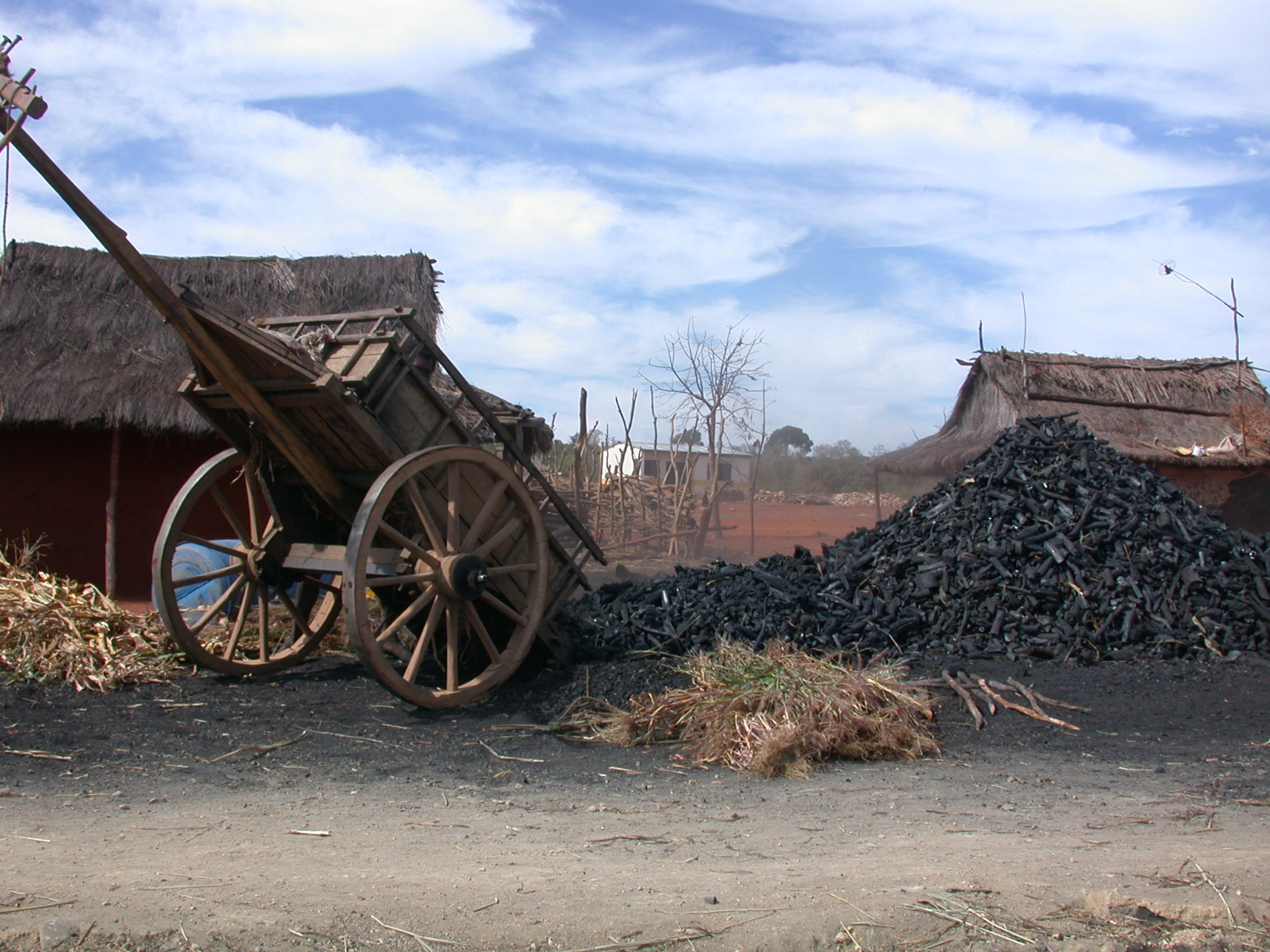 Le charbon de bois, énergie de base à Mada Le charbon de bois, énergie de base à Mada