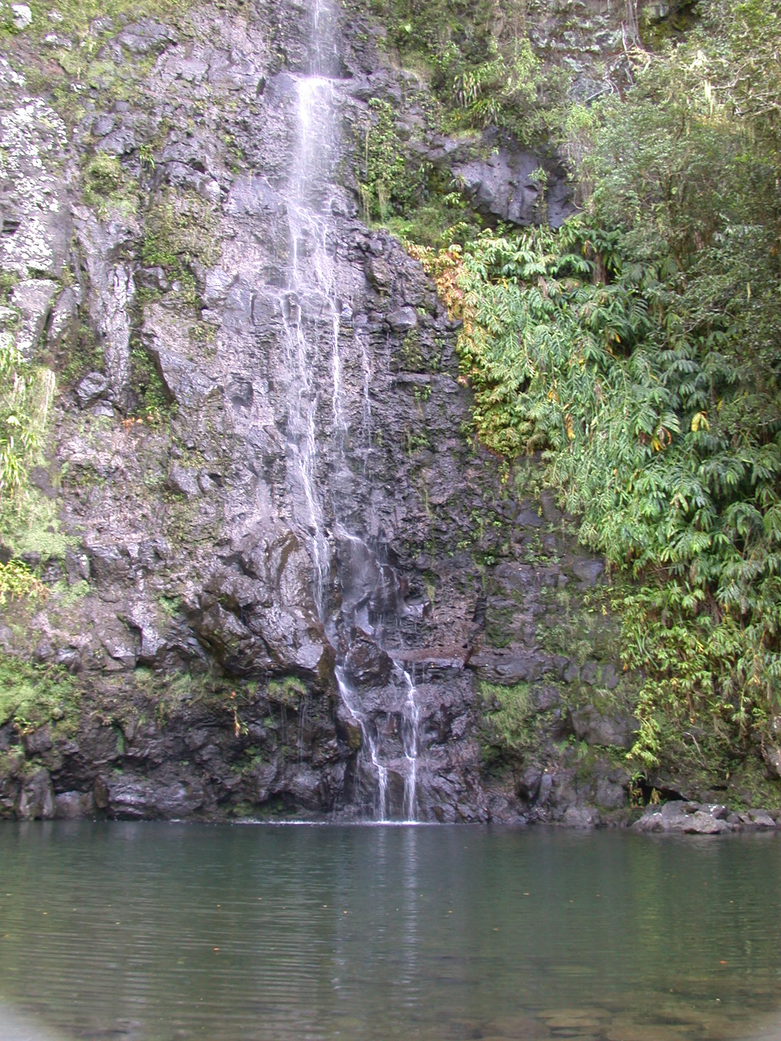 La cascade Maniquet au nord de St-Denis description