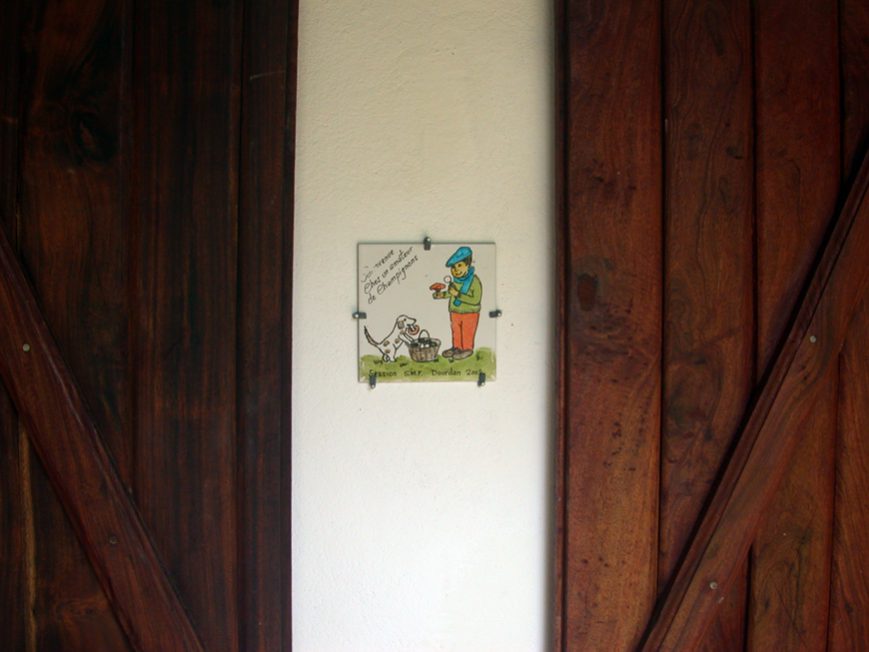 plaque champignon