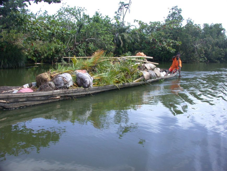 Canal des pangalanes
